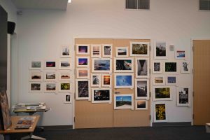 Art 4 Neuroscience: Student-Run Nonprofit Raises Funds for Neuroscience Research