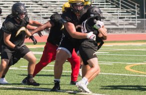 Wilcox Football Star Justin Hylkema: Lions, Tigers & Bears? Oh My! 