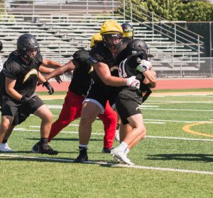 Wilcox Football Star Justin Hylkema: Lions, Tigers & Bears? Oh My! 