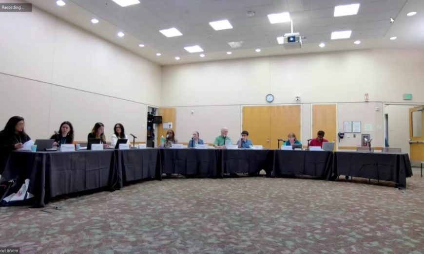 Santa Clara's Charter Review Committee heard from an appointed city clerk in Los Gatos and a retired police chief from Mountain View.