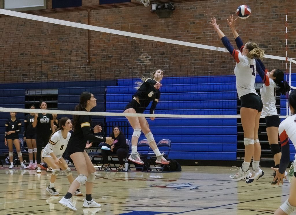 Without captain and defensive specialist Neda Salehi, Wilcox volleyball fell in straight sets to the Lynbrook Vikings on Tuesday.