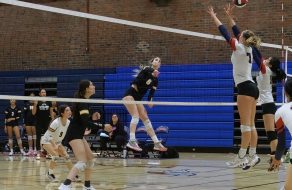 Wilcox Volleyball Battles Vikings Without Captain 