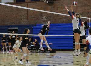 Wilcox Volleyball Battles Vikings Without Captain 