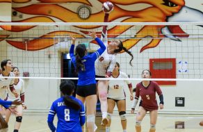 Firebirds Beat Bruins to Snap Skid