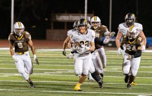 Wilcox Paints Its Picasso by Plowing Past St. Francis 