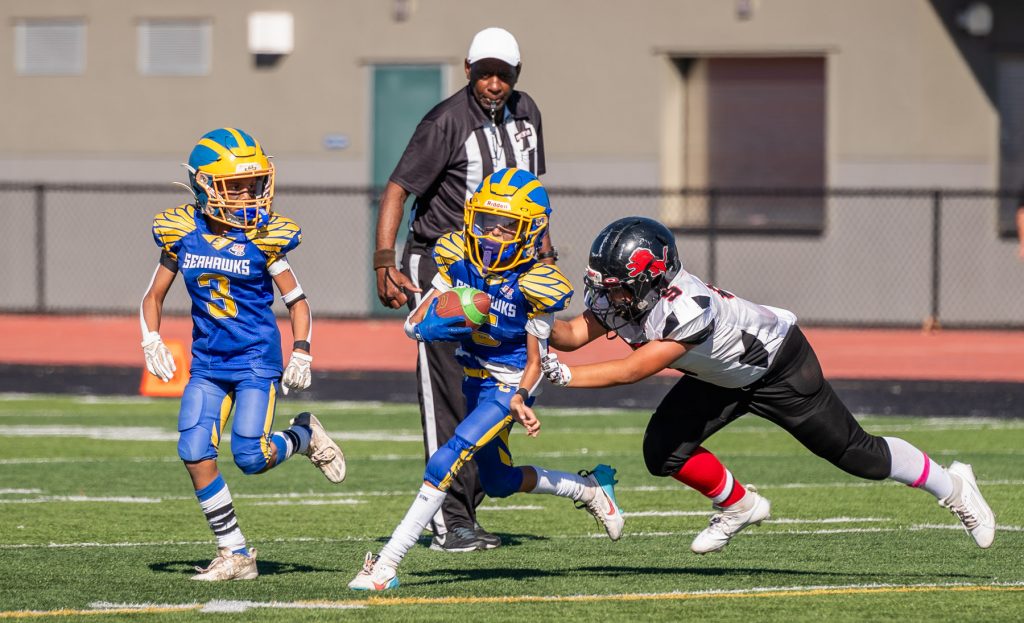 The Santa Clara Lions 12U Wildcats will make a repeat return to the Pop Warner Super Bowl in Florida. Unfortunately, the Panthers lost.