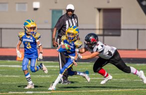 Lions Pride: Panthers, Wildcats Seek Super Bowl