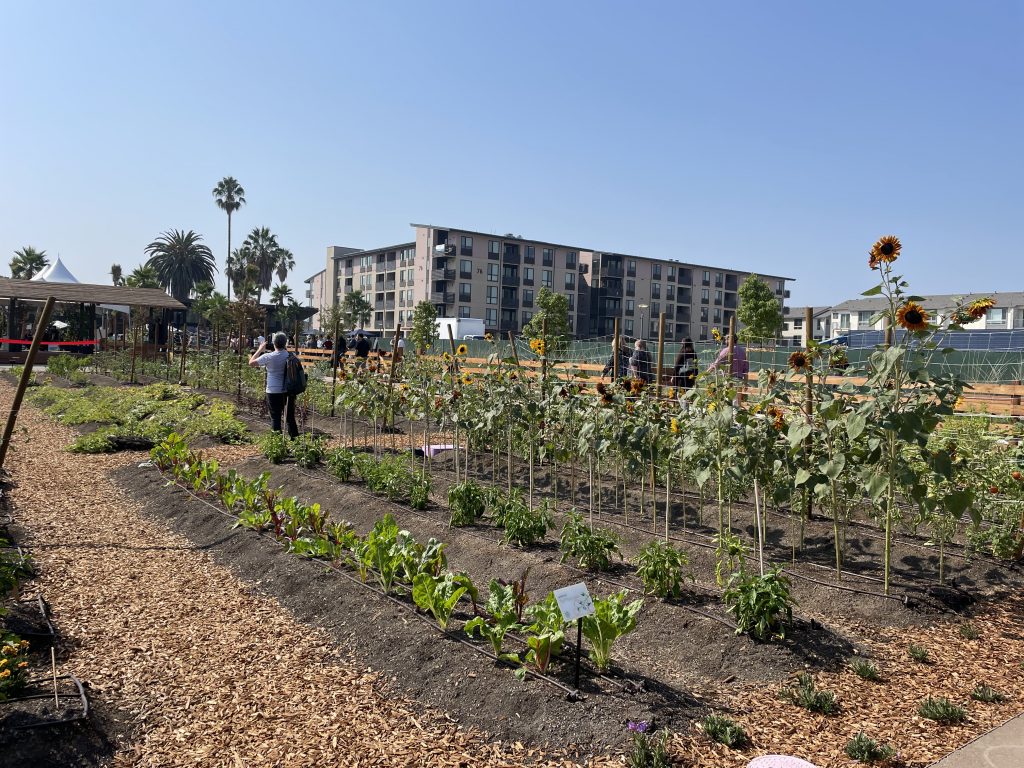 Guided by Farmscape Co-Founder Lara Hermanson, the urban farm at Agrihood is built for residents and the community at-large.