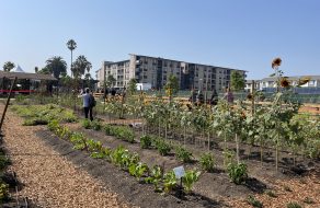 Farmscape Adds Secret Ingredient in Agrihood Development