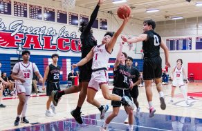 Firebirds Fly Past Falcons