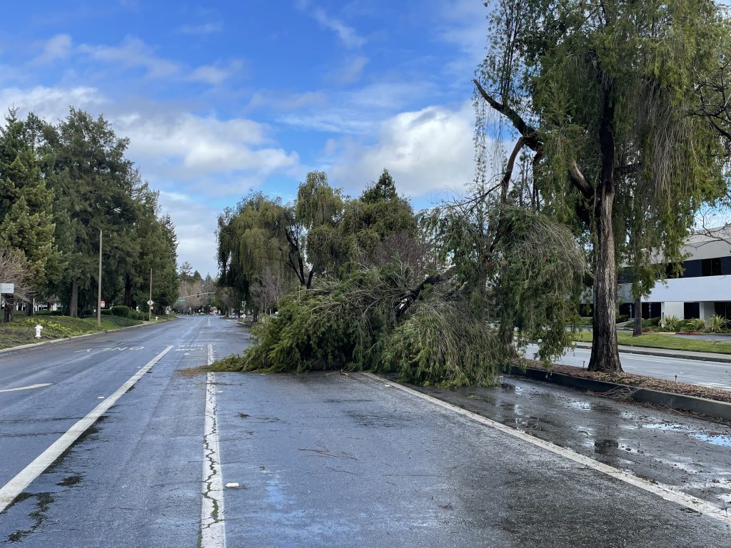 Silicon Valley Power has restored power to all Santa Clara customers who suffered outages during this latest round of storms and high winds.