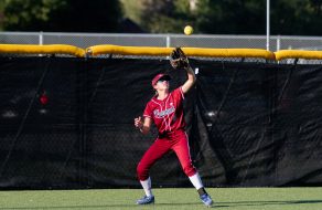 Firebirds Fall to Wildcats in Tough-Luck Loss 