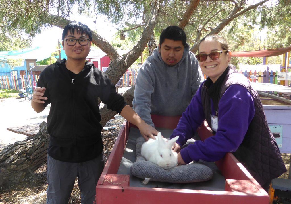 Animal Assisted Happiness celebrated the 15th anniversary of Smile Farm in Sunnyvale. The nonprofit works with disadvantaged kids.