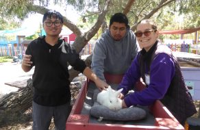 Animal Assisted Happiness Smile Farm Turns 15