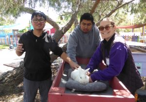 Animal Assisted Happiness Smile Farm Turns 15