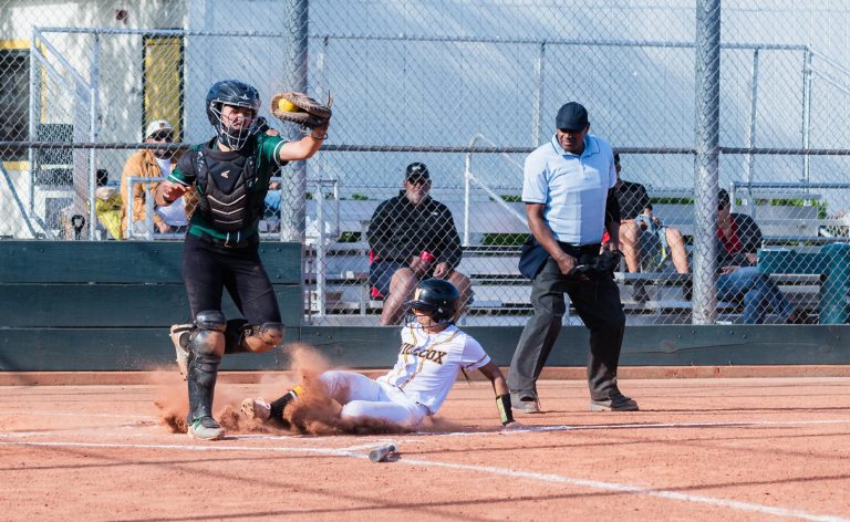 Wilcox Softball With Impressive Win over Homestead