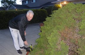 Ben Levinson, Won’t You Be My Neighbor?