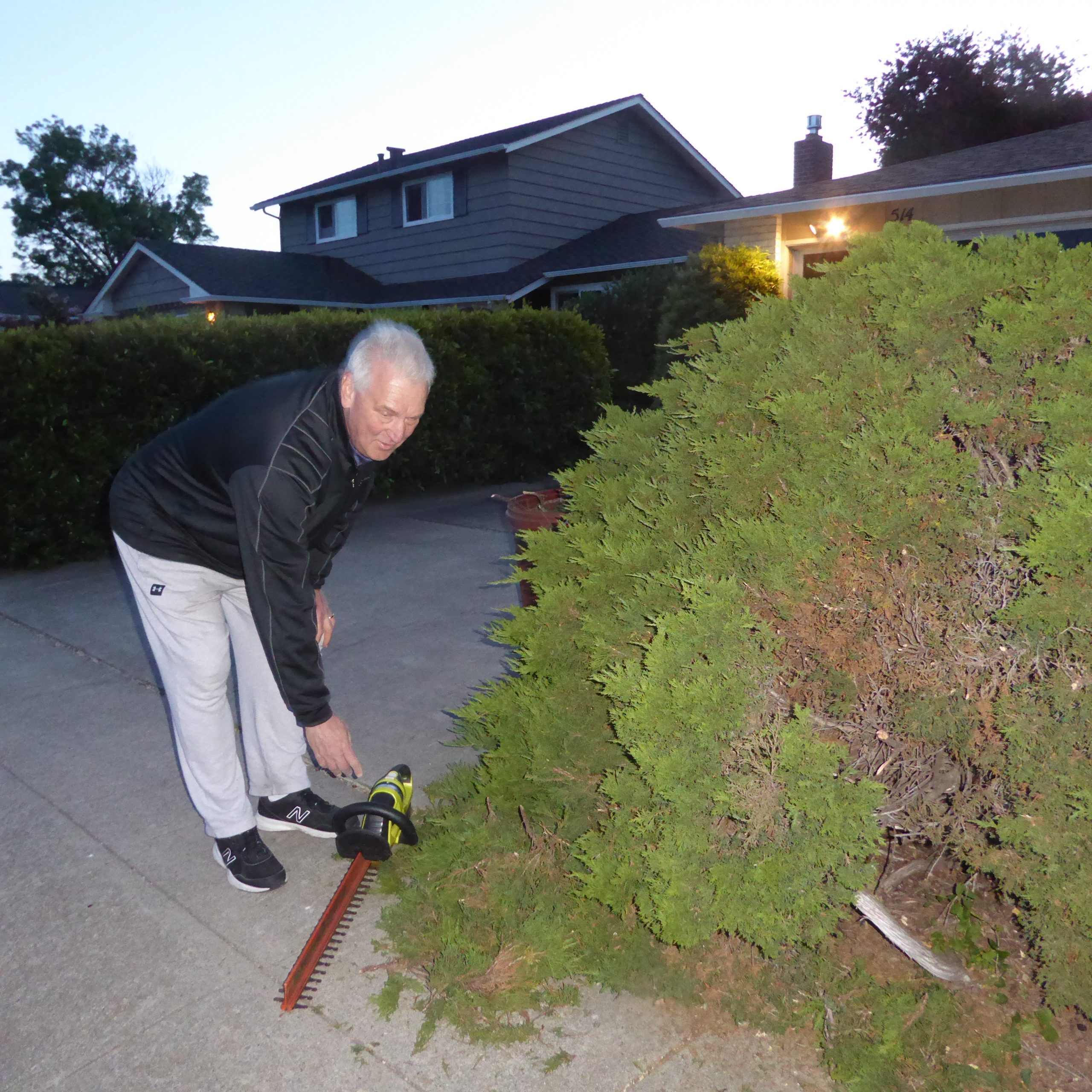 How a summer evening stroll turned into a neighborly encounter and a bit of yard work for Santa Clara resident Ben Levinson and his dog Rocky.