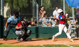 Briarwood Pitching and Defense Shine in Season Finale