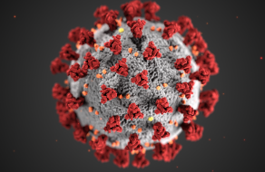 Possible Measles Exposure at SJC: Santa Clara Co. Dept. of Public Health Issues Warning