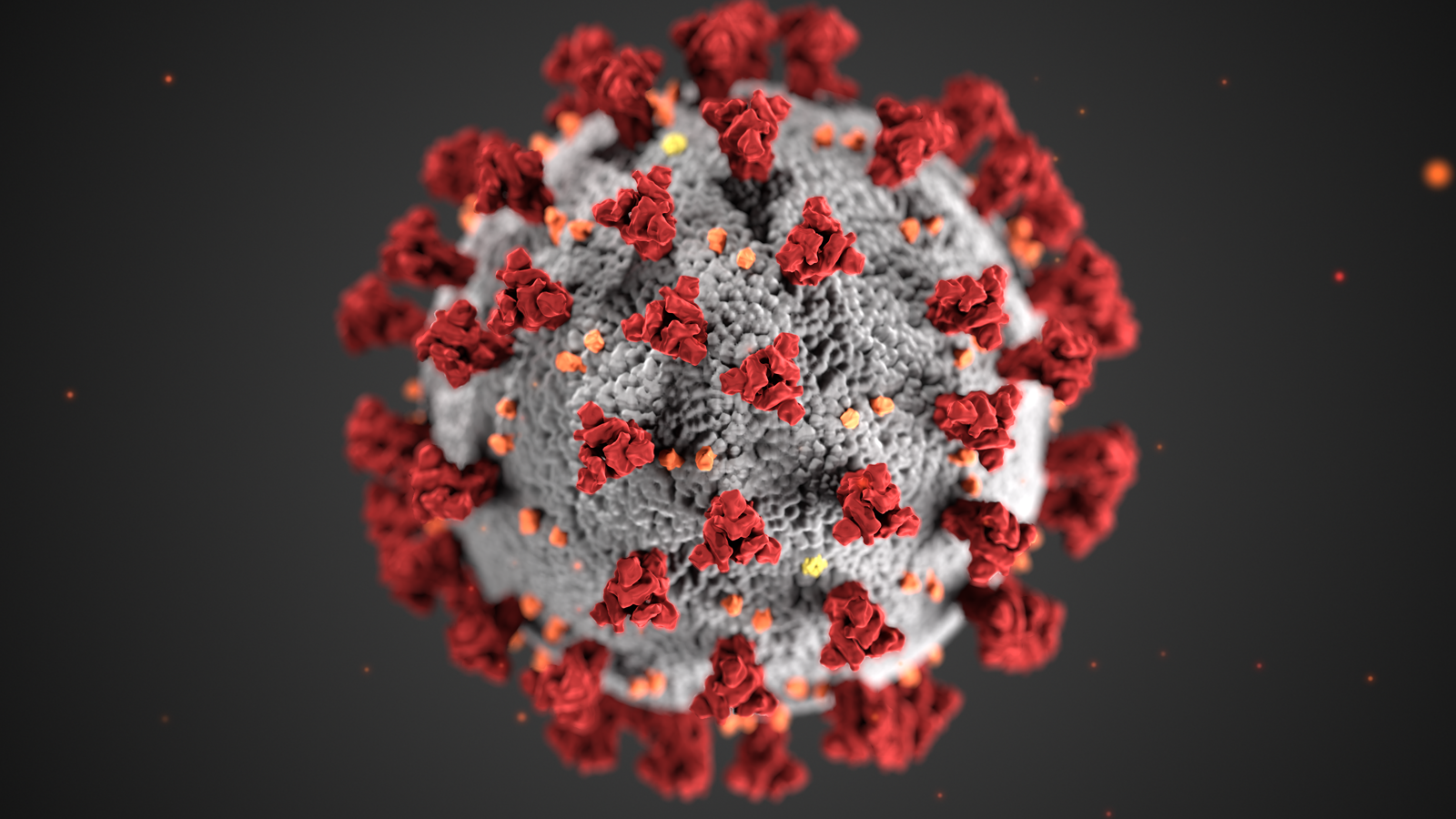 The Santa Clara County Public Health Department is warning people who traveled through SJC earlier this month that they may have been exposed to measles.