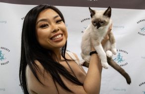 Kitten Season In Full-Swing: Local Shelter Still Looking for Homes for Furry Friends