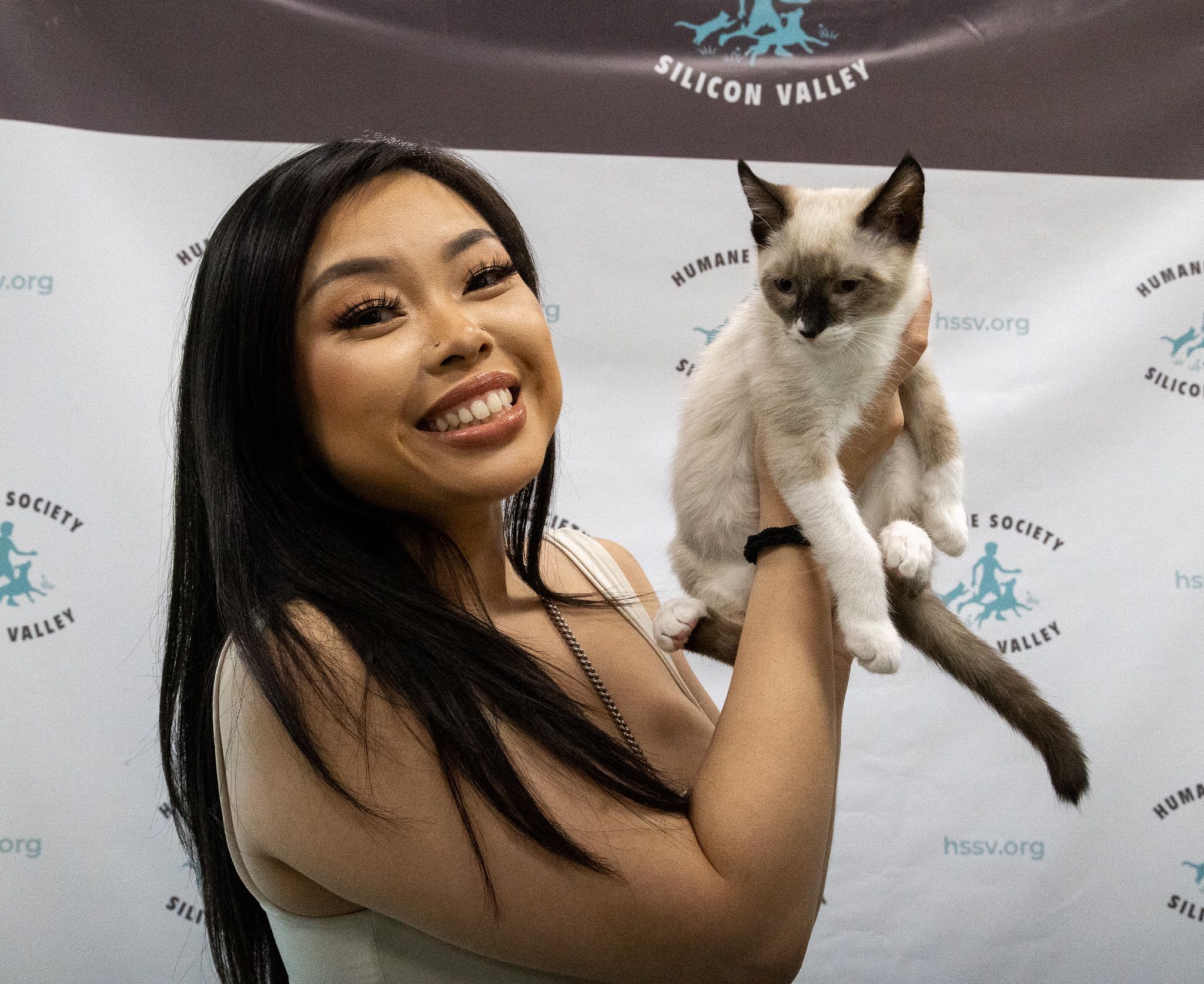 The Humane Society of Silicon Valley is in the midst of the kitten rush! With kitten season underway, dozens of animals need forever homes.