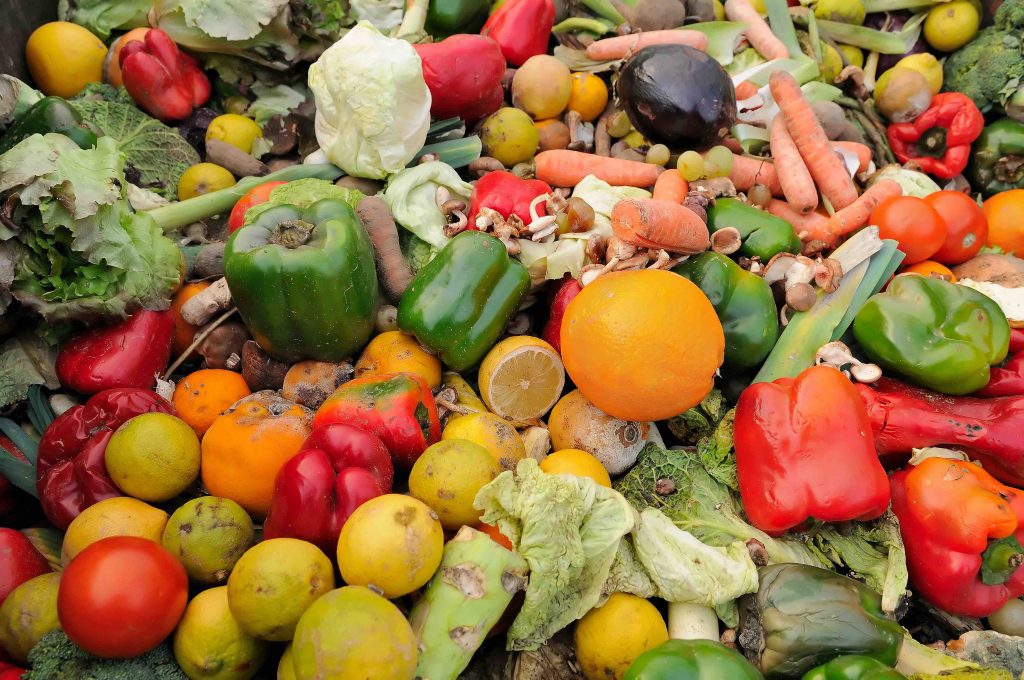 In its second year, Sunnyvale increased the amount of food waste it diverted from the landfill into the hands of the people who need it most.