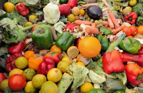 Sunnyvale Ramps up Food Recovery in Second Year of County Program