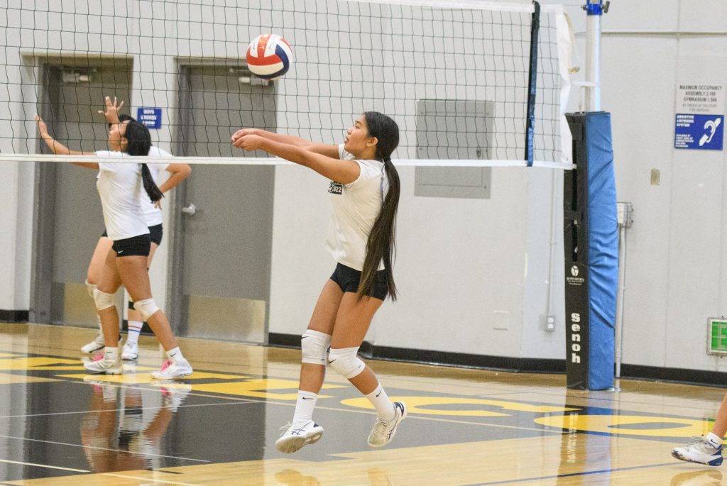 Wilcox volleyball's young team will lean on its defense as it looks to improve on last season's .500 record in league play.