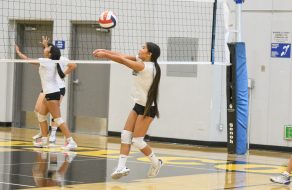 Wilcox Volleyball to Lean on Defense in 2024 