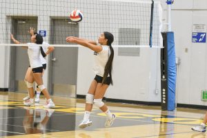 Wilcox Volleyball to Lean on Defense in 2024
