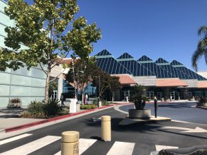 Milestones – Great Living! – Opinion