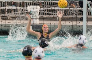 Wilcox Water Polo Knocks Off Fremont 11-6