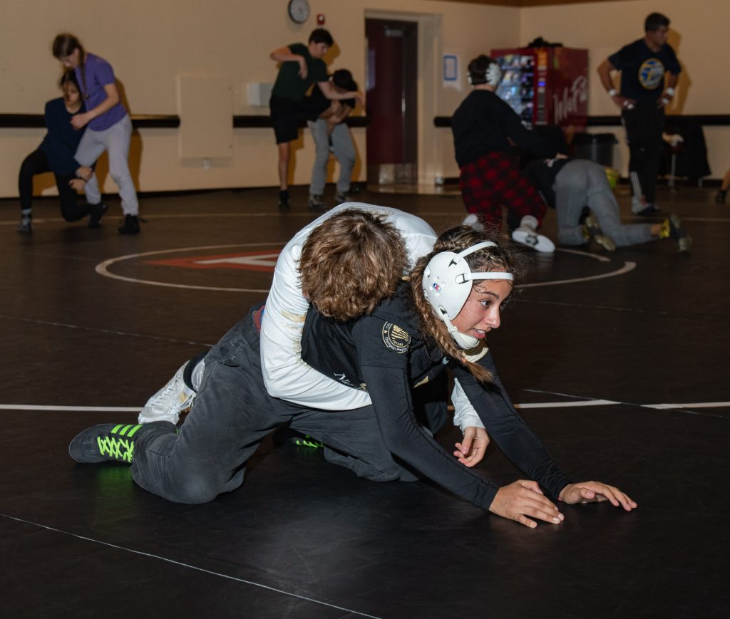 The Fremont Firebirds wrestling squad is expected to continue its tradition of success this season with returning wrestlers Duus and Moore.