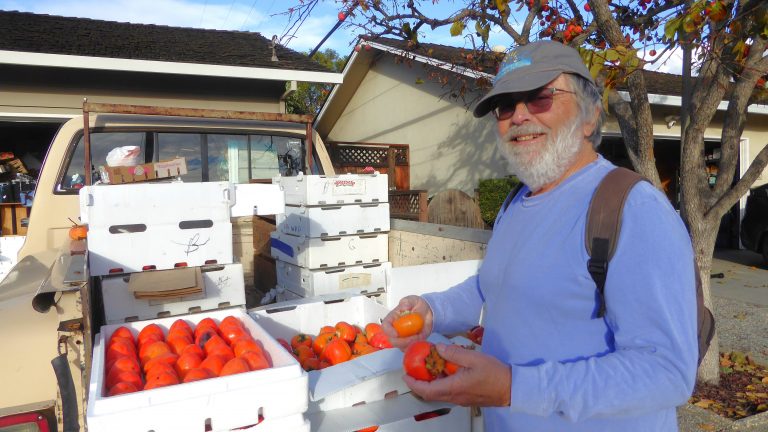 Ron Kleinman, Won’t You Be My Neighbor?