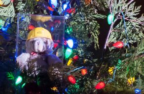 The Bear Necessity: Santa Clara’s Christmas Tradition