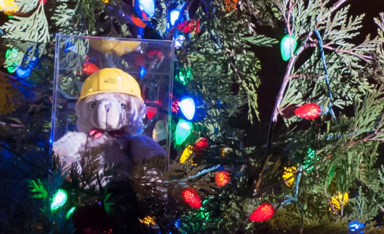 The Bear Necessity: Santa Clara’s Christmas Tradition
