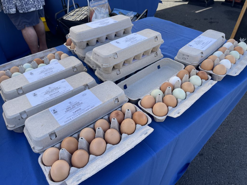 The recent outbreak of bird flu that led to a state of emergency in California has resulted in an egg shortage across the state.