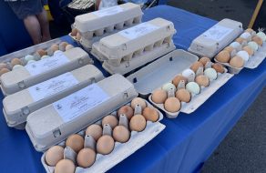 Where are the Eggs? How Shortages Reflect a Contagion