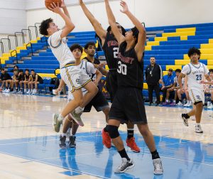 Bruins Fall to Firebirds, But Light at the End of the Tunnel?