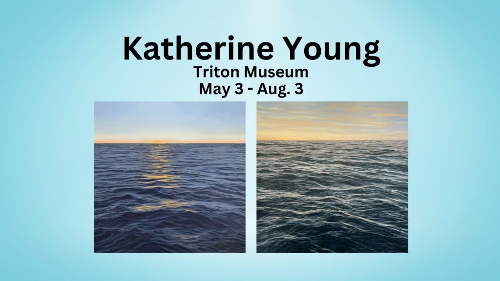 Bay Area based artist Katherine Young will be featured at the Triton Museum of Art this summer through her show "What Do You Treasure?"