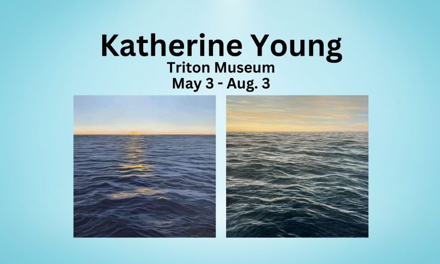 Bay Area based artist Katherine Young will be featured at the Triton Museum of Art this summer through her show "What Do You Treasure?"