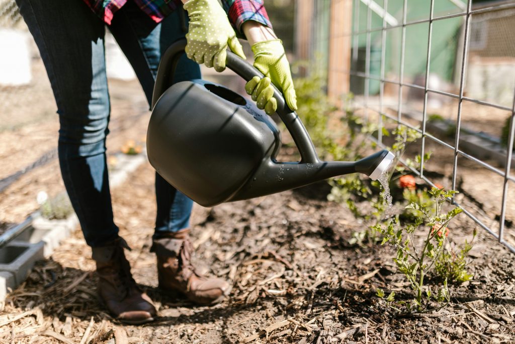Santa Clara's Mulch Madness campaign is piggy backing off of the popular basketball tournament to help residents meet environmental goals.