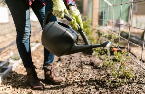 Santa Clara’s Mulch Madness Aims to Help City Meet Environmental Goals