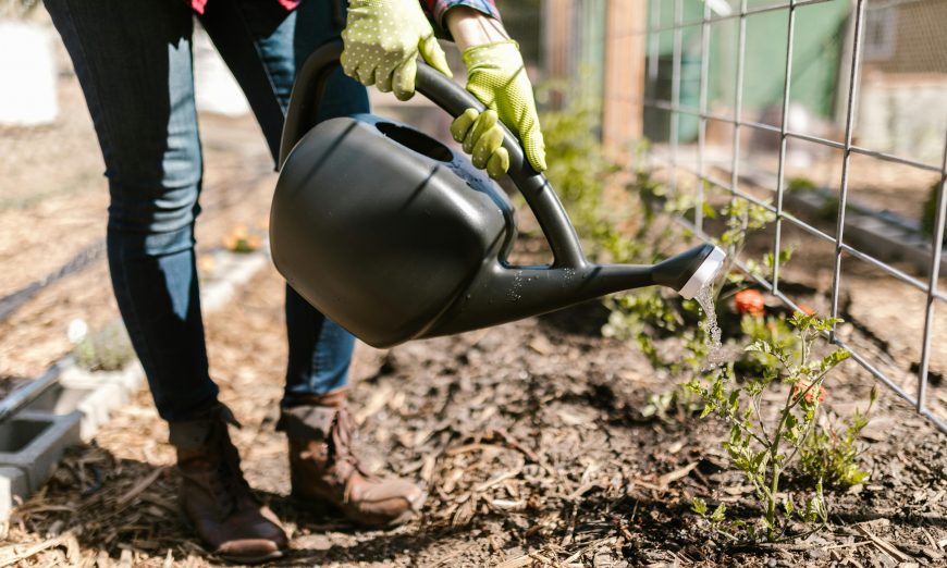 Santa Clara's Mulch Madness campaign is piggy backing off of the popular basketball tournament to help residents meet environmental goals.