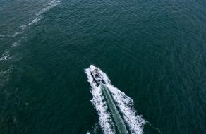 Boaters Warned of Whale Sightings in the San Francisco Bay After Three Found Dead