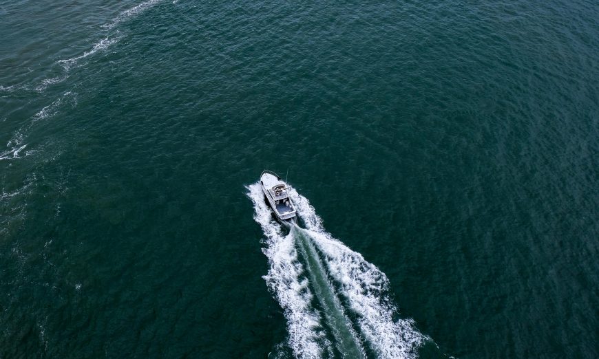 The San Francisco Bay has received an influx of gray whales in recent weeks, leading experts to warn boaters to be careful.