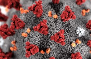 EdSource: Amid Deadly Measles Outbreak, California’s Childhood Vaccination Rates are Falling