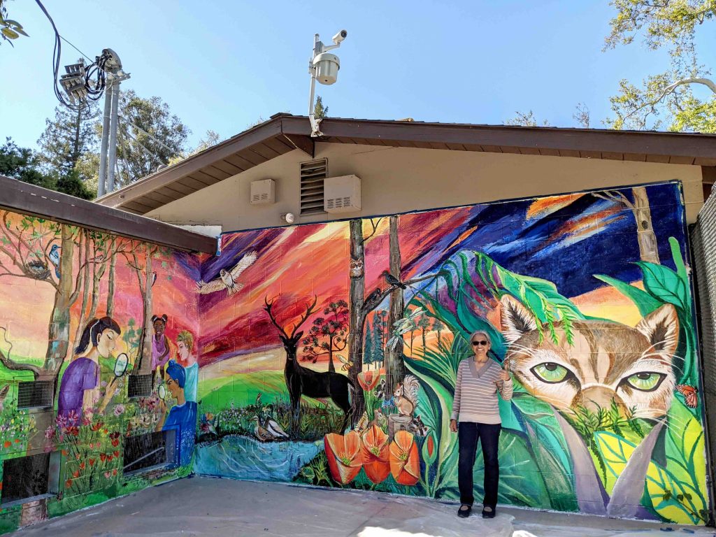 Santa Clara and Sunnyvale artists will be featured in Silicon Valley Visual Arts' Open Studio program sharing their work alongside other artists.